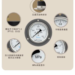 General Pressure Gauge 100mm Axial with Flange - Y100ZT