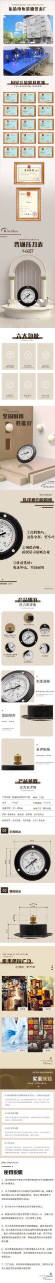 General Pressure Gauge 60mm Axial with Flange - Y60ZT