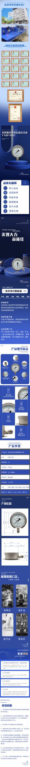 Stainless Steel Pressure Gauge 100mm - YNBF100T