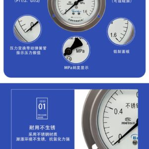 Liquid-filled Stainless Steel Pressure Gauge 100mm Tri-clamp - YNBF100ZT