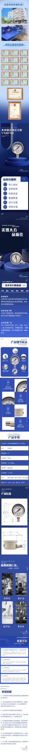 YN40BF - Stainless Steel Pressure Gauge 40mm