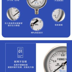 Stainless Steel Pressure Gauge 60mm Axial - YNBF60Z(2)