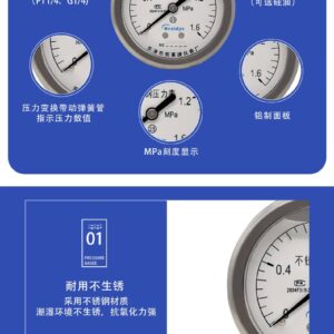 Stainless Steel Pressure Gauge 60mm Axial - YNBF60Z
