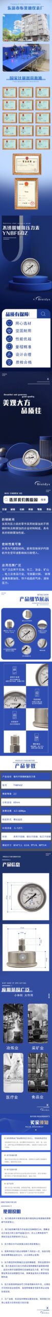 Stainless Steel Pressure Gauge 60mm Axial - YNBF60Z