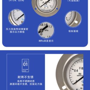 Stainless Steel Pressure Gauge 60mm Axial with Flange - YNBF60ZT