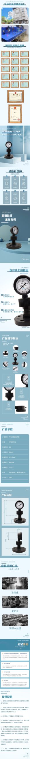 Diaphragm Pressure Gauge 60mm DN32 - YPP60DN32