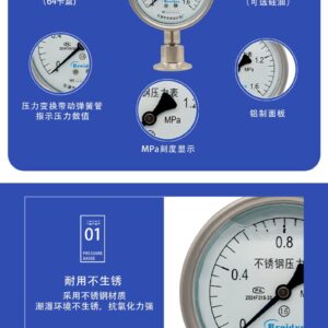 Diaphragm Pressure Gauge 100mm with Flange - YTP100MC
