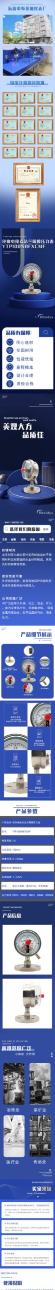 Diaphragm Pressure Gauge 100mm with Flange - YTP100NBFXCMF