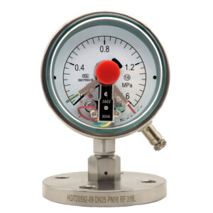 Diaphragm Pressure Gauge 100mm with Flange - YTP100NBFXCMF
