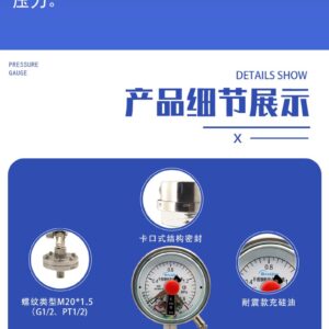 Diaphragm Pressure Gauge 100mm with Flange - YTP100NBFXCML