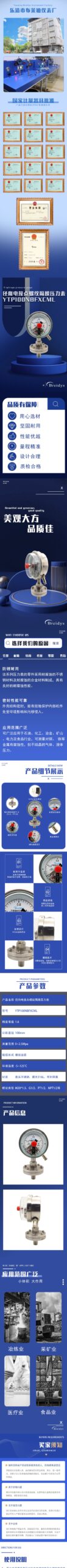 Diaphragm Pressure Gauge 100mm with Flange - YTP100NBFXCML