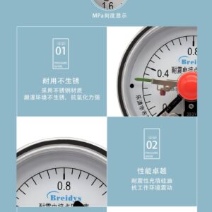 Diaphragm Pressure Gauge 100mm with Flange - YTP100NXCMF