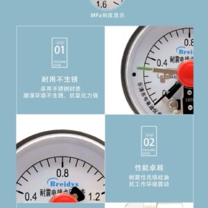Diaphragm Pressure Gauge 100mm with Flange - YTP100NXCML