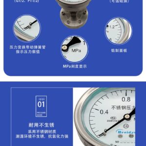 Diaphragm Pressure Gauge 100mm Axial with Flange - YTP100ZML