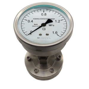 Diaphragm Pressure Gauge 100mm Axial with Flange - YTP100ZML