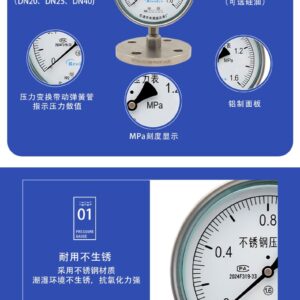 Diaphragm Pressure Gauge 150mm with Flange - YTP150MF