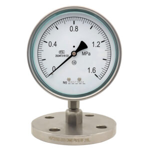 Diaphragm Pressure Gauge 150mm with Flange - YTP150MF