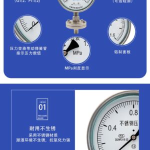 Diaphragm Pressure Gauge 150mm with Flange - YTP150ML