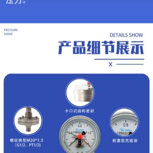 Diaphragm Pressure Gauge 150mm with Flange - YTP150NBFXCML