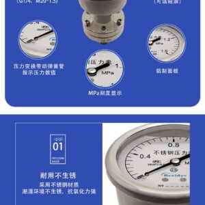 Diaphragm Pressure Gauge 60mm Axial with Flange - YTP60ZML