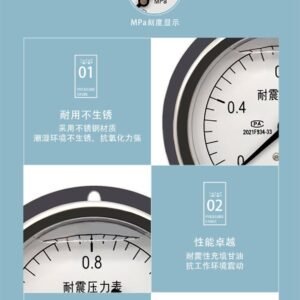 Vibration-Resistant Pressure Gauge 100mm with Flange Reverse Mount - YN100T-R
