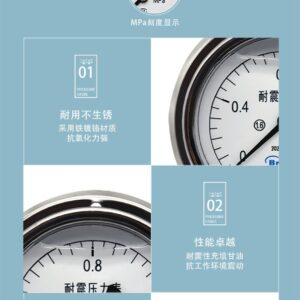 Vibration-Resistant Pressure Gauge 100mm with Flange Standard Mount - YN100T-S