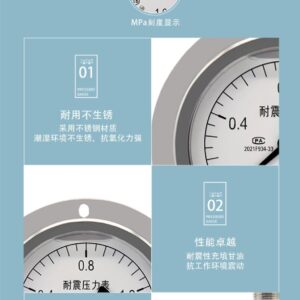 Vibration-Resistant Pressure Gauge 100mm Axial with Flange Reverse Mount - YN100ZT-R