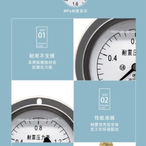 Vibration-Resistant Pressure Gauge 100mm Axial with Flange Standard Mount - YN100ZT-S