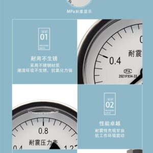 Vibration-Resistant Pressure Gauge 100mm Axial Reverse Mount - YN100Z-R