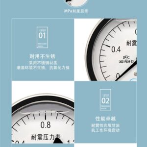 Vibration-Resistant Pressure Gauge 100mm Reverse Mount - YN100-R