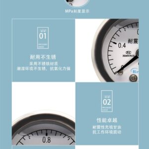 Vibration-Resistant Pressure Gauge 40mm - YN40