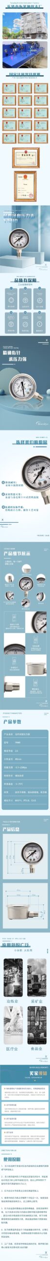 Vibration-Resistant Pressure Gauge 40mm - YN40