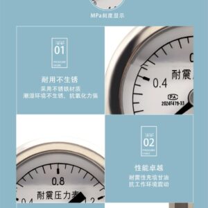 Vibration-Resistant Pressure Gauge 40mm Axial - YN40Z