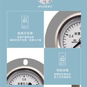 Vibration-Resistant Pressure Gauge 40mm Axial with Flange - YN40ZT