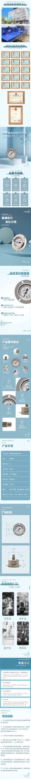 Vibration-Resistant Pressure Gauge 40mm Axial with Flange - YN40ZT