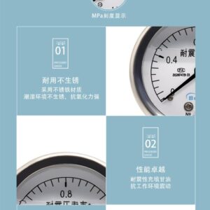 Vibration-Resistant Pressure Gauge 50mm - YN50