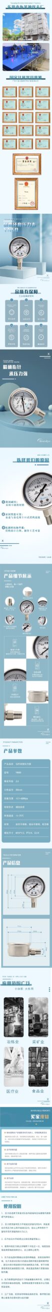 Vibration-Resistant Pressure Gauge 50mm - YN50