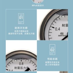 Vibration-Resistant Pressure Gauge 50mm Axial - YN50Z
