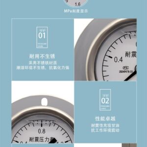 Vibration-Resistant Pressure Gauge 50mm Axial with Flange - YN50ZT