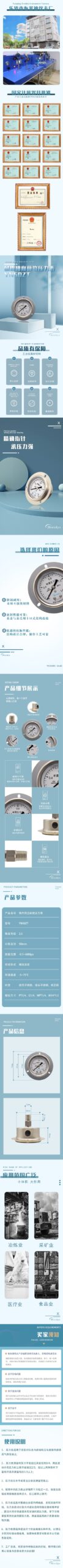Vibration-Resistant Pressure Gauge 50mm Axial with Flange - YN50ZT