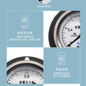 Vibration-Resistant Pressure Gauge 60mm with Flange - YN60T