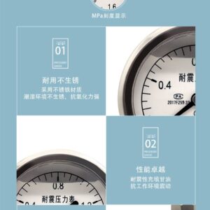 Vibration-Resistant Pressure Gauge 60mm Axial - YN60Z