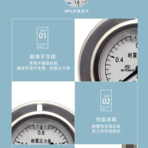 Vibration-Resistant Pressure Gauge 60mm Axial with Flange - YN60ZT
