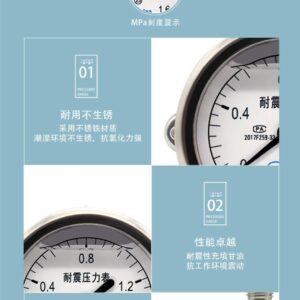 Vibration-Resistant Pressure Gauge 60mm Axial Vacuum - YN60ZV