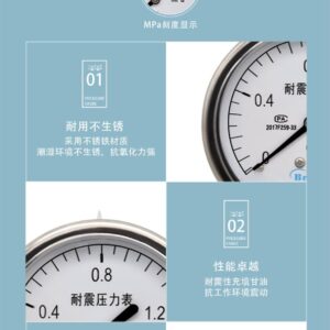 Vibration-Resistant Pressure Gauge 75mm - YN75