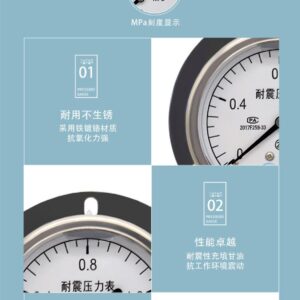 Vibration-Resistant Pressure Gauge 75mm with Flange - YN75T
