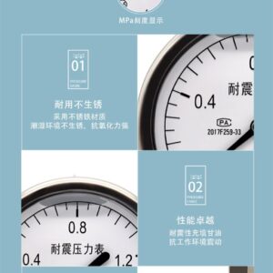 Vibration-Resistant Pressure Gauge 75mm Axial - YN75Z