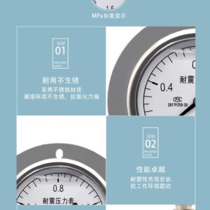 Vibration-Resistant Pressure Gauge 75mm Axial with Flange - YN75ZT