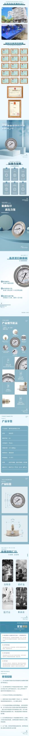 Vibration-Resistant Pressure Gauge 75mm Axial with Flange - YN75ZT