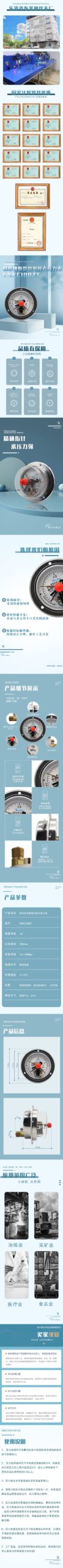YN50BF - Stainless Steel Pressure Gauge 50mm
